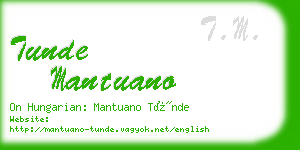 tunde mantuano business card